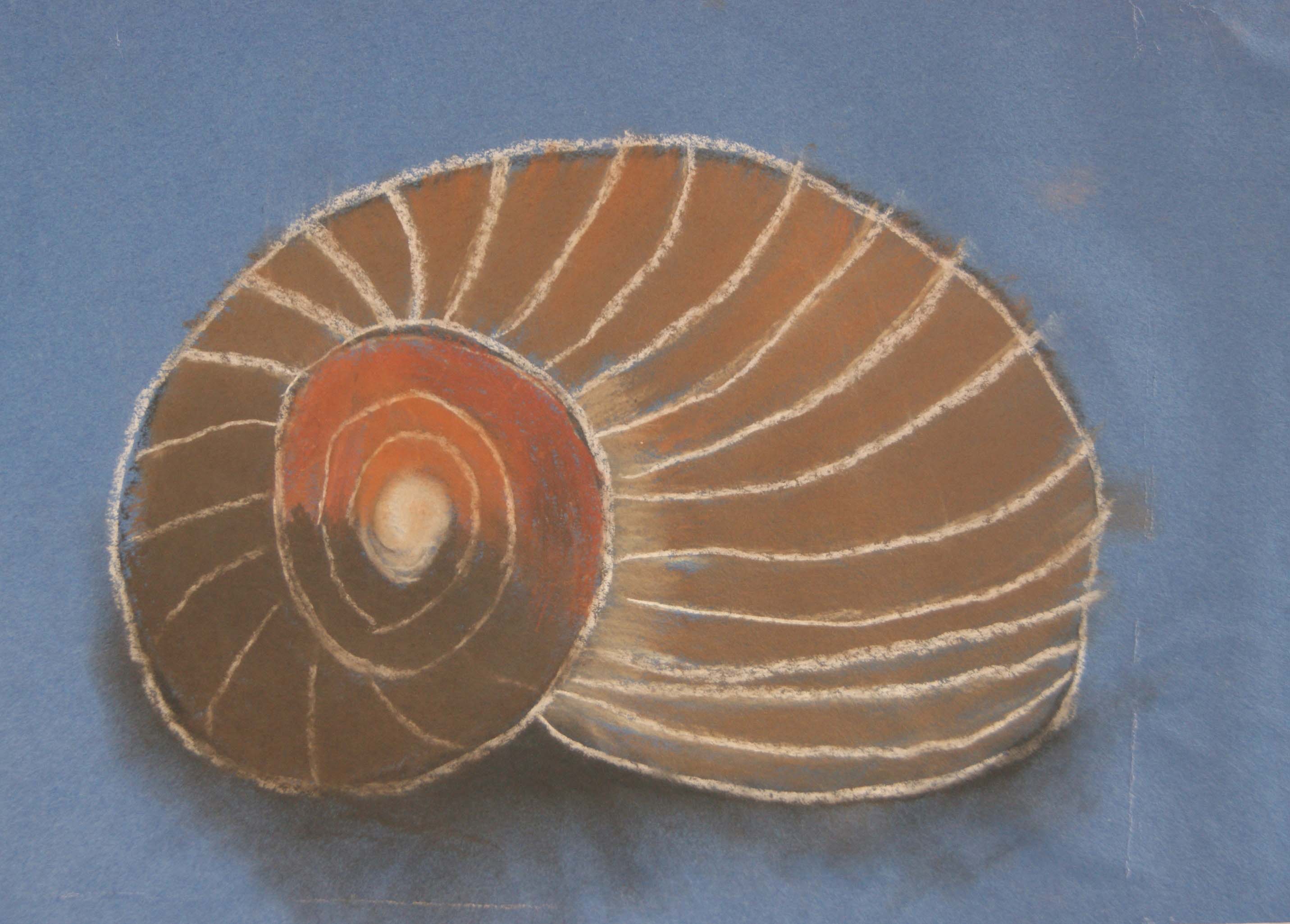 Shell Packwood Haugh Age 11